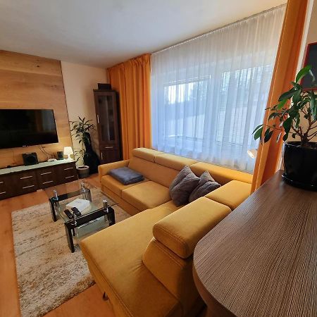 Apartment Pinewood *** Вишне-Ружбахи Екстер'єр фото